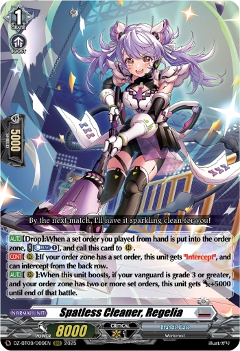 Spatless Cleaner, Regelia RRR DZ-BT09/009